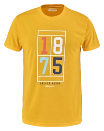 T-shirt pour homme Babolat Exercise Vintage Tee Men Saffron Heather