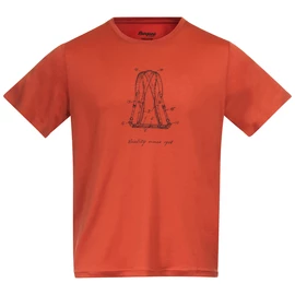 T-shirt pour homme Bergans Graphic Wool Brick SS22