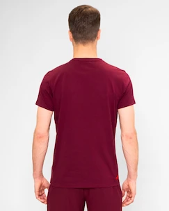 T-shirt pour homme BIDI BADU  Protected Leafs Chill Tee Bordeaux M