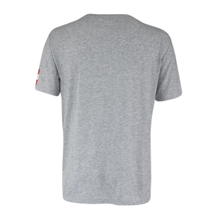 T-shirt pour homme CCM  FLAG TEE TEAM AUSTRIA Athletic Grey