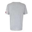 T-shirt pour homme CCM  FLAG TEE TEAM CZECH Athletic Grey