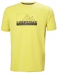 T-shirt pour homme Helly Hansen  Skog Recycled Graphic T-Shirt Endive