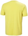 T-shirt pour homme Helly Hansen  Skog Recycled Graphic T-Shirt Endive