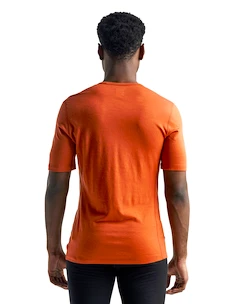 T-shirt pour homme Icebreaker  200 Oasis SS Crewe