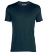 T-shirt pour homme Icebreaker  Amplify SS Crewe