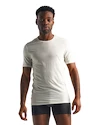 T-shirt pour homme Icebreaker  Anatomica SS Crewe