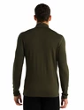 T-shirt pour homme Icebreaker  M 260 Tech LS Half Zip Loden