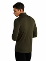 T-shirt pour homme Icebreaker  M 260 Tech LS Half Zip Loden