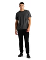 T-shirt pour homme Icebreaker  M Central SS Tee GRITSTONE HTHR