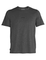 T-shirt pour homme Icebreaker  M Central SS Tee GRITSTONE HTHR
