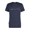 T-shirt pour homme Icebreaker Merino 150 Tech Lite SS T Icebreaker Graphite XL