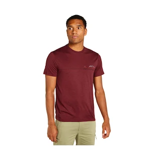 T-shirt pour homme Icebreaker Merino 150 Tech Lite SS T Sing Li Cmp Port XL