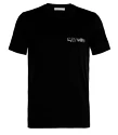 T-shirt pour homme Icebreaker  Tech Lite SS Crewe Nature