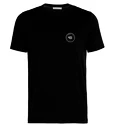 T-shirt pour homme Icebreaker  Tech Lite SS Crewe Nomad Forever