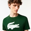 T-shirt pour homme Lacoste  Big Logo Core Performance T-Shirt Green/White