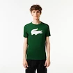 T-shirt pour homme Lacoste  Big Logo Core Performance T-Shirt Green/White