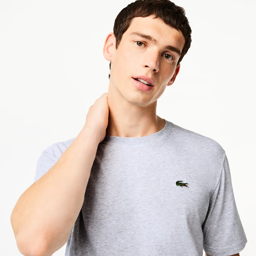 T shirt pour homme Lacoste Core Performance T Shirt Silver Chine L