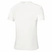 T-shirt pour homme Mizuno  Frontier Shadow Polo M White
