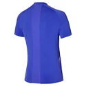 T-shirt pour homme Mizuno  Shadow Polo Violet Blue