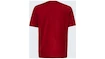T-shirt pour homme Oakley  O-BOLD ELLIPSE