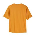 T-shirt pour homme Patagonia  Cap Cool Daily Graphic Clean Climb