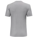 T-shirt pour homme Salewa  Solidlogo Dri-Release Heather Grey