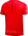 T-shirt pour homme Salomon