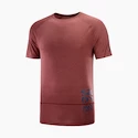 T-shirt pour homme Salomon Cross Run Graphic Tee Cabernet  XL