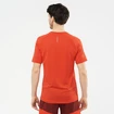 T-shirt pour homme Salomon Cross Run SS Tee Fiery Red