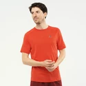 T-shirt pour homme Salomon Cross Run SS Tee Fiery Red