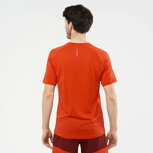 T-shirt pour homme Salomon Cross Run SS Tee Fiery Red