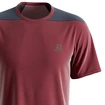 T-shirt pour homme Salomon  Outline SS Tee Cabernet