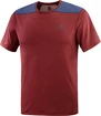 T-shirt pour homme Salomon  Outline SS Tee Cabernet