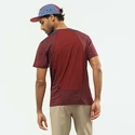 T-shirt pour homme Salomon  Outline SS Tee Cabernet