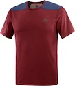T-shirt pour homme Salomon  Outline SS Tee Cabernet SS22 XL