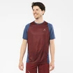 T-shirt pour homme Salomon Sense Aero SS Tee Cabernet