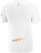 T-shirt pour homme Salomon Sense Aero SS Tee White/Autumn Blaze