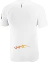 T-shirt pour homme Salomon Sense Aero SS Tee White/Autumn Blaze