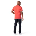 T-shirt pour homme Smartwool  Merino 150 Plant-Based Dye Earth Red Wash SS22