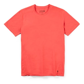 T-shirt pour homme Smartwool Merino 150 Plant-Based Dye Earth Red Wash SS22
