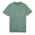 T-shirt pour homme Smartwool  Merino Sport 120 Mountain Biking Sage Heather