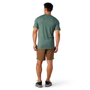 T-shirt pour homme Smartwool  Merino Sport 120 Mountain Biking Sage Heather