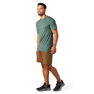 T-shirt pour homme Smartwool  Merino Sport 120 Mountain Biking Sage Heather