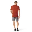 T-shirt pour homme Smartwool  Merino Sport 150 Tech Tee Picante