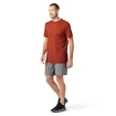 T-shirt pour homme Smartwool  Merino Sport 150 Tech Tee Picante SS22
