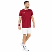 T-shirt pour homme Tecnifibre  Club Polo Cardinal