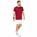 T-shirt pour homme Tecnifibre  Club Polo Cardinal