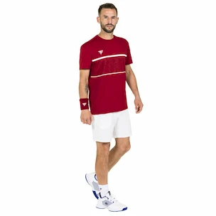 T-shirt pour homme Tecnifibre  Club Tech Tee Cardinal XL