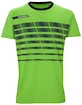 T-shirt pour homme Tecnifibre  F2 Airmesh Green