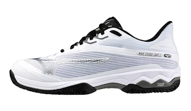 Testé - Chaussures de tennis pour homme Mizuno Wave Exceed LIGHT 2 CC White/Metallic Gray/Black EUR 44